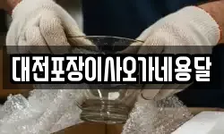 대전포장이사오가네용달