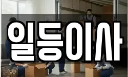 일등이사