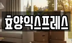 효양익스프레스