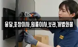 용달,포장이사,원룸이사,보관,개별화물