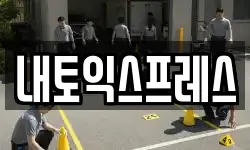 내토익스프레스