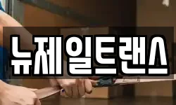 뉴제일트랜스