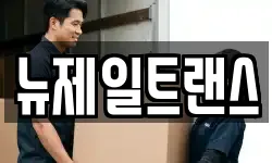 뉴제일트랜스