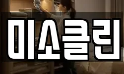 미소클린