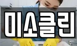 미소클린