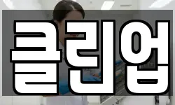클린업