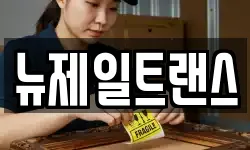 뉴제일트랜스