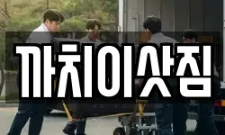 충북 제천시 명지동 이사,용달이사,포장이사,원룸이사,보관이사