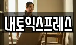 내토익스프레스