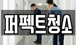 퍼펙트청소