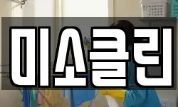 미소클린