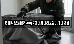 현대익스프레스&현대사다리포장이사이삿짐