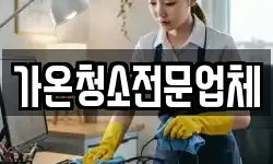 가온청소전문업체