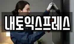 내토익스프레스