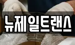 뉴제일트랜스