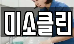 미소클린