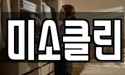 미소클린