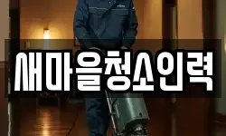 새마을청소인력