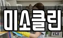 미소클린