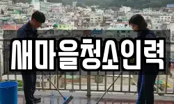 새마을청소인력