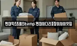 현대익스프레스&현대사다리포장이사이삿짐
