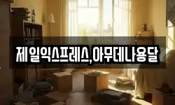 제일익스프레스,아무데나용달
