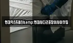 현대익스프레스&현대사다리포장이사이삿짐
