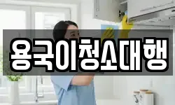 용국이청소대행