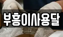 부흥이사용달