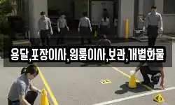 용달,포장이사,원룸이사,보관,개별화물