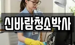 신바람청소박사
