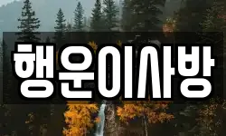 행운이사방