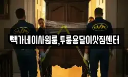 빽가네이사원룸,투룸용달이삿짐센터