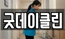 굿데이클린