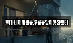 빽가네이사원룸,투룸용달이삿짐센터