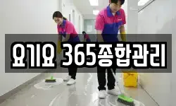 요기요 365종합관리