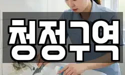 청정구역