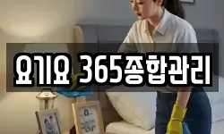 요기요 365종합관리