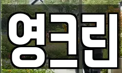 영크린