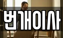 번개이사