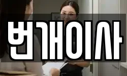 번개이사