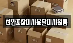 천안포장이사용달이사원룸