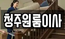 청주원룸이사
