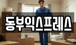 동부익스프레스