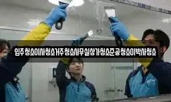입주청소이사청소거주청소사무실상가청소준공청소이박사청소