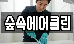 숲속에어클린