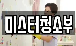 미스터청소부