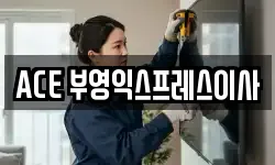 ACE 부영익스프레스이사