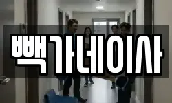 빽가네이사