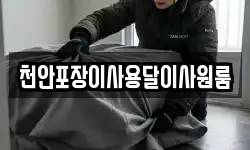 천안포장이사용달이사원룸